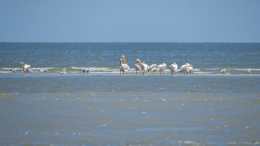 Сергіївка Чорне море