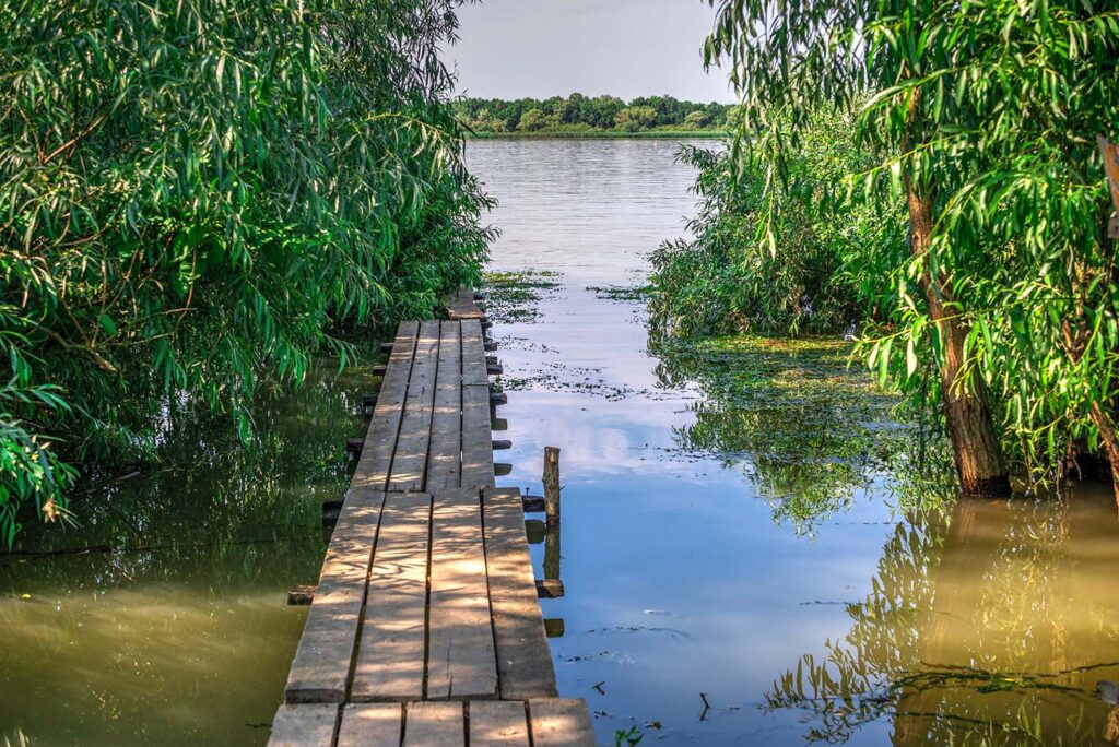 Вилкове