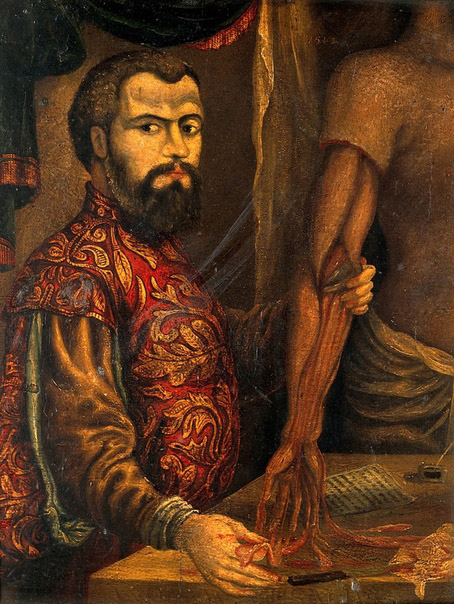 Габріель Фаллопіо