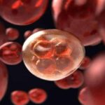 Новий підхід у лікуванні лейкемії запропонували ізраїльські вчені