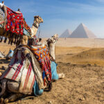 фармація Єгипту